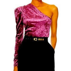 🩷 NWOT PLUM MAUVE PINK VELVET ONE SHOULDER BLOUSE TOP MEDIUM 💜